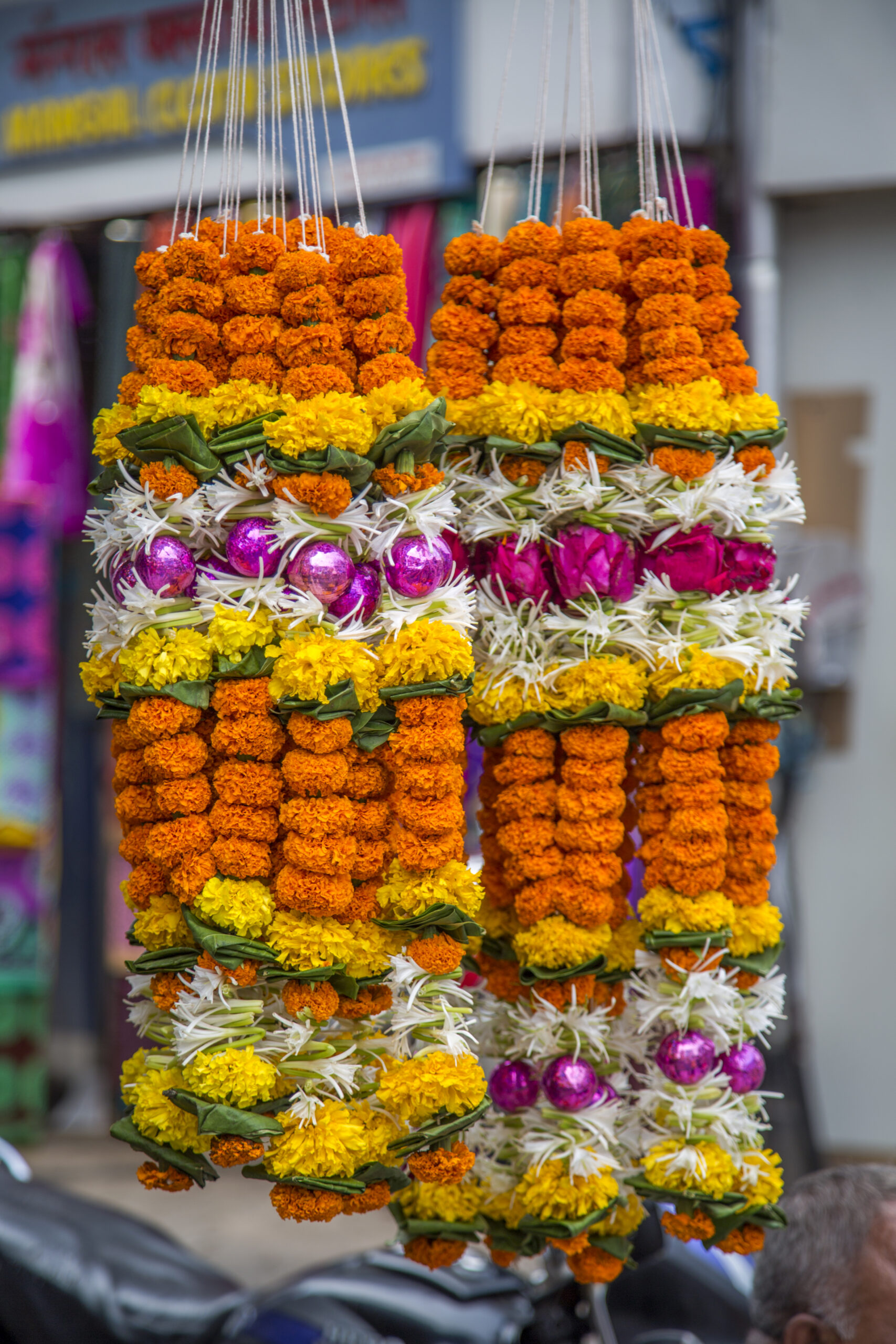 marigold flower in mumbai, india